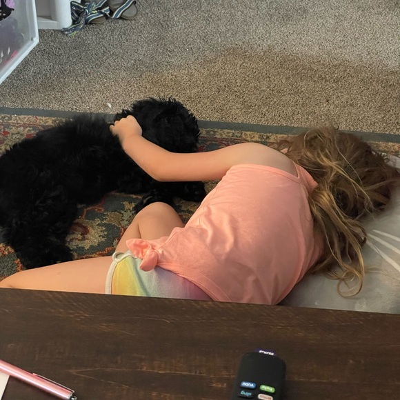 Iโm baaaack! Help me sell my stuff! Everything must go! - Picture 10 of 12